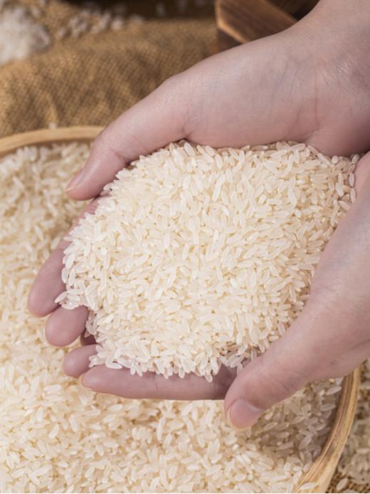 🥰广州农科院指定合作伙伴【当季新米】🥬有机五常大米--【邻家饭香【当季新米】有机五常大米（SY158 +SY19）】✨，人工除草 真正高品质的有机五常大米 商品图2