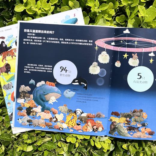 如果世界上只有 100 只动物 | 世界上的动物千千万，以有趣、简明的方式将纷繁复杂、数量庞大的动物世界呈现给孩子，也是用于数学、科学、阅读和写作的绝佳教学资源。天略童书馆出品 商品图4