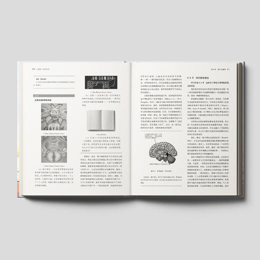 《心理学》（第13版） 商品图4