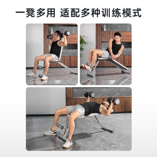 舒华家用哑铃凳仰卧起坐卧推辅助器多功能折叠健身家用器材G592 商品图1
