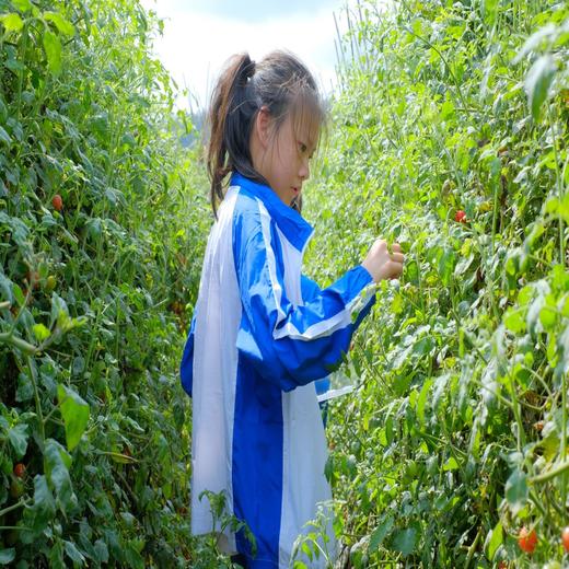 【班级定制】增城·毕业游1日 | 下午茶+烧烤趴的美味食物，骑马+攀岩的勇士挑战，田园采摘+星空篝火的休闲时光，让青春永不散场！ 商品图5