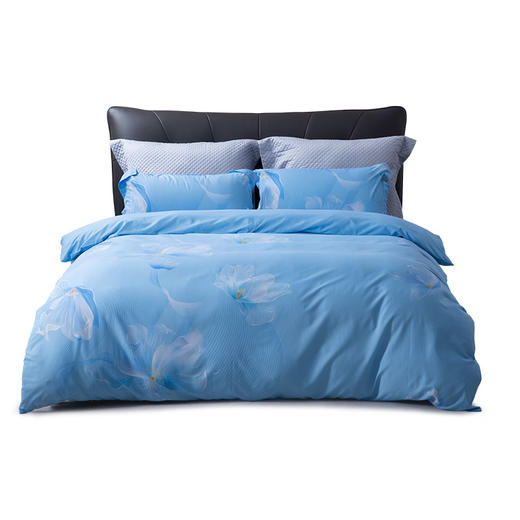 水星家纺 DH锦瑟未央-S04（抗菌）四件套 商品图0