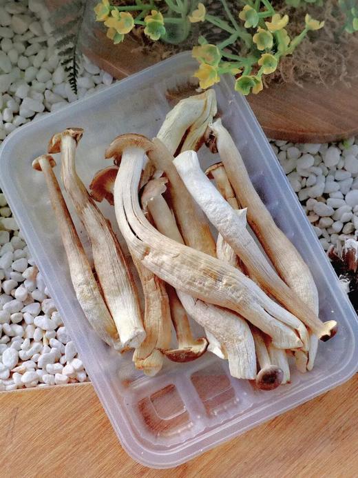 云南冻干菌子盛宴礼盒171g 商品图9