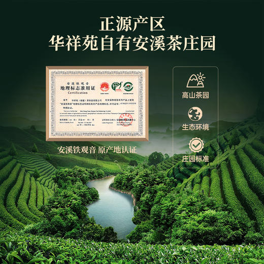 华祥苑 春茶 安溪铁观音 龙涎香 特级 浓香型 铁观音 茶叶 160g 商品图2