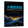 大模型实战 从*实现RAG与Agent系统 Agent开发智能体RAG开发自然语言处理大模型 商品缩略图0