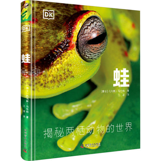 蛙 商品图0