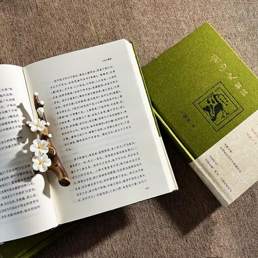 《前四史解读》 商品图5