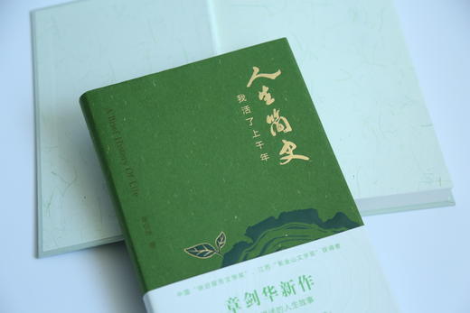 人生简史  章剑华新作，AI无法讲述的人生故事 商品图6