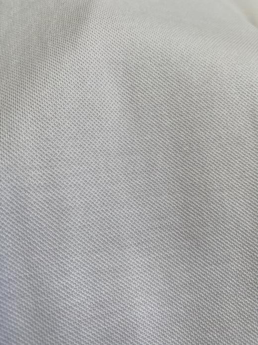 占姆士桑蚕丝短袖t恤男士夏季新款宽松休闲翻领polo衫半袖男  白色 商品图5