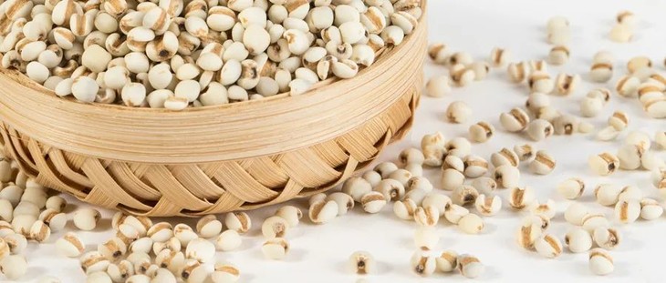 摄图网_500933127_wx_薏米薏仁（企业商用） (1).jpg