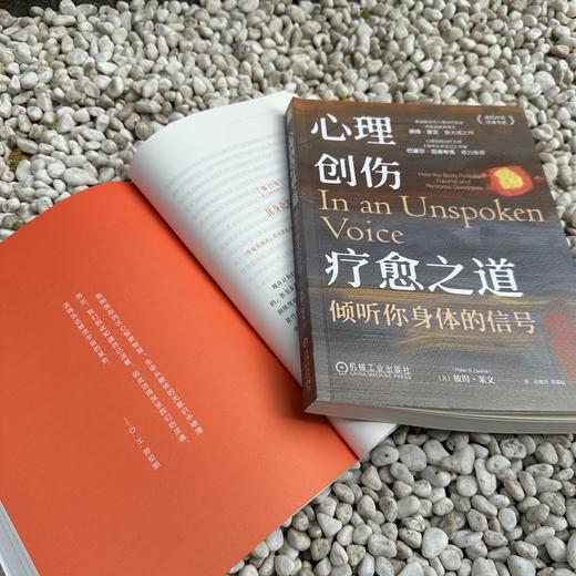 官网 心理创伤疗愈之道 倾听你身体的信号 彼得 莱文 创伤疗愈经典书系 心理创伤 疗愈 体感疗愈 心理治疗心灵疗愈心理学书籍 商品图3