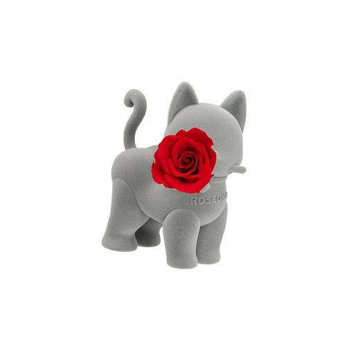 ROSEONLY诺誓 永生玫瑰 公仔系列 嘻嘻猫白蓝拾花版  Baby宝贝系列 送朋友 情人节礼物 商品图1