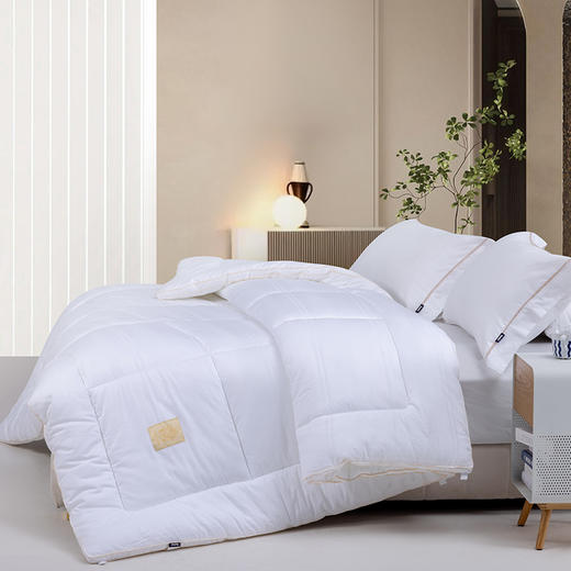 多喜爱 科特抗菌防螨十孔春秋被/加厚冬被/拉链子母被【德国进口纤维】【全棉面料】【提花工艺】【A类标准】【织带织标】加量填充 整张绵工艺 商品图7