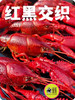 产地直发💝阳澄湖清水炮头小龙虾🦞30只装（顺丰包邮） 商品缩略图6