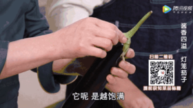 食材挑选大全之——茄子