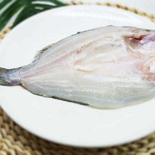 粤海食品白蕉海鲈鱼（3条/4条） 商品图1