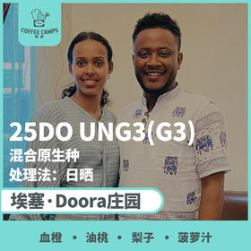 25产季埃塞  Doora UNG3 (G3)日晒 （生豆）空运批次