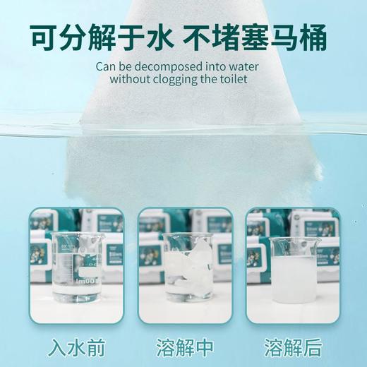 iLilace灵乐熙可降解湿厕纸 10片装 商品图1
