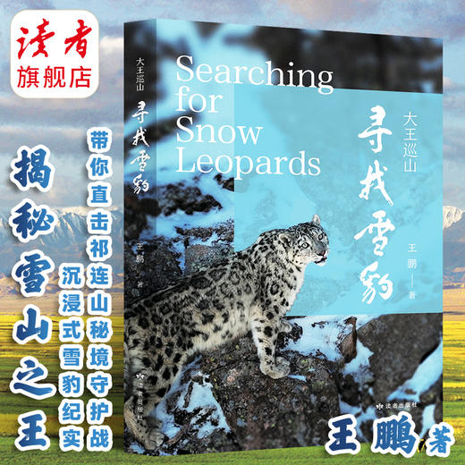 《寻找雪豹—大王巡山》 王鹏/著 揭秘雪山之王 读者出版社 商品图0