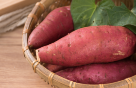 食材挑选大全之——红薯