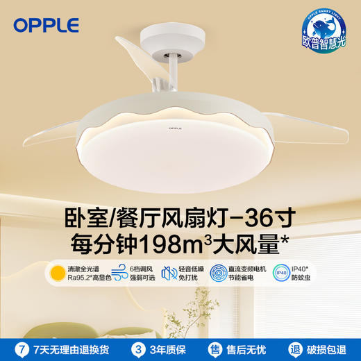 特价🔥风舞风扇灯 商品图0