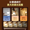 心有所属充电小夜灯婴儿喂奶夜灯卧室床头灯氛围灯触摸伴睡眠长续航拍拍灯 /灯饰照明 /家居类灯饰 /小夜灯/拍拍灯 商品缩略图1