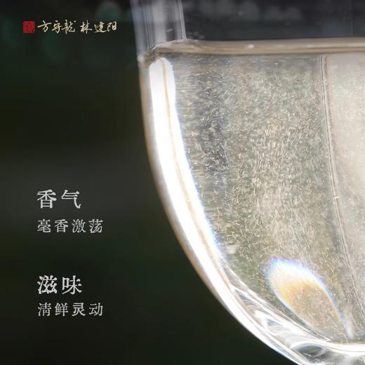 方守龙 2024年白毫银针30g礼盒装 福鼎白茶 [官方旗舰店正品直供] 商品图1