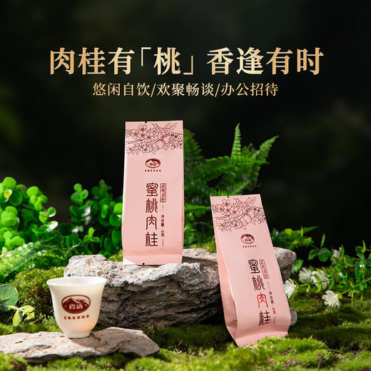 岩语 蜜桃肉桂 岩茶特级武夷岩茶桃香乌龙茶中轻火大红袍罐装48g 商品图3