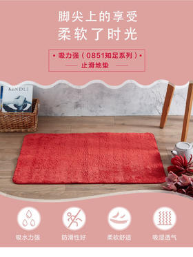 【多样屋专柜】多样屋微丝开织纱吸力强地垫/双色灰/37*65