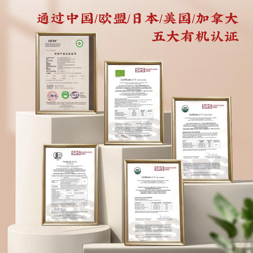 有机黑枸杞礼盒 黑枸杞轻奢礼盒120g 【60g/瓶*2瓶】包邮 商品图11