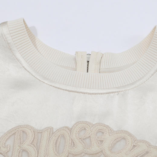 谜底衬衫衬衫女2025夏季新品通勤光泽醋酸箱型刺绣上衣252MS0688 商品图2