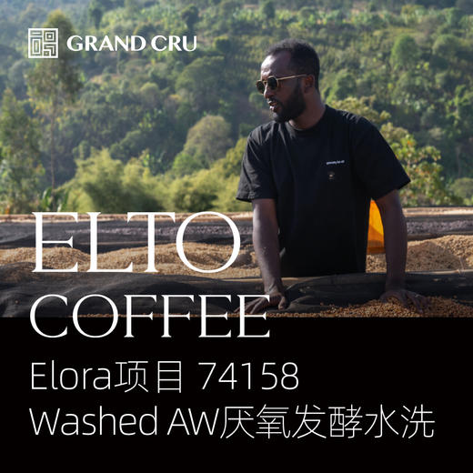 2025新产季空运批次｜埃塞Elto咖啡 Elora项目｜Elora Washed AW厌氧发酵水洗 商品图0