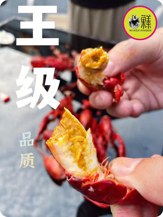 产地直发💝阳澄湖清水炮头小龙虾🦞30只装（顺丰包邮） 商品图9