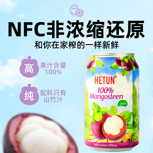 HETUN 100%山竹汁 330mL*12罐【仅发广东省内】 商品图1
