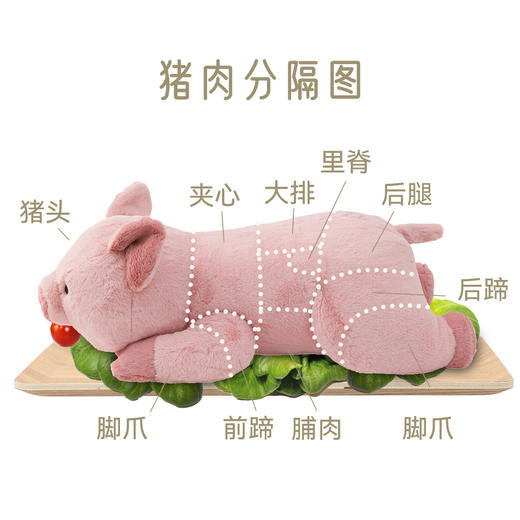 毛绒公仔抱枕  粉猪 S/L 商品图1