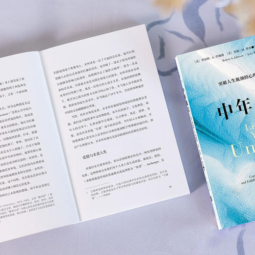 中年成长：突破人生瓶颈的心理自助方案（美）罗伯特·A·约翰逊 、杰瑞·M·鲁尔 著 商品图3