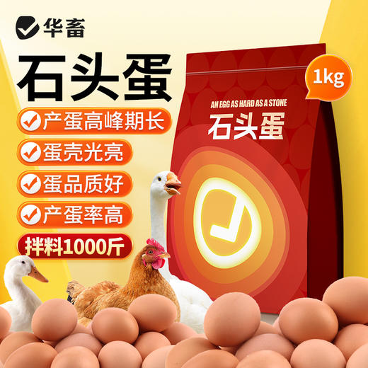 华畜 石头蛋 蛋多蛋大硬度高品质好 商品图0