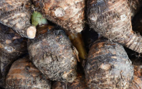 食材挑选大全之——芋头