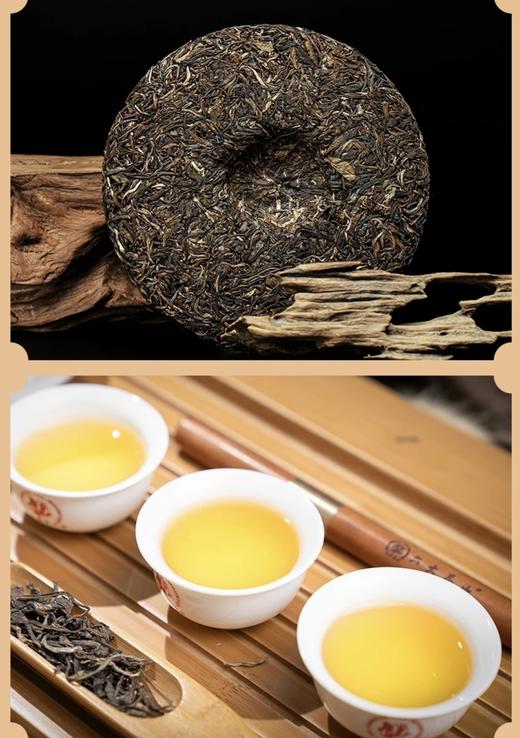 同号收藏.班章生茶(2023) 商品图2