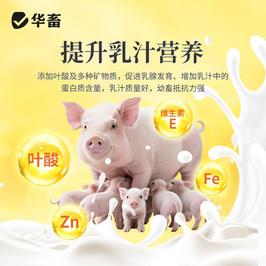 华畜 蓝鲸乳能 含进口酵母培养物 吃的多奶水好吸收好 商品图3