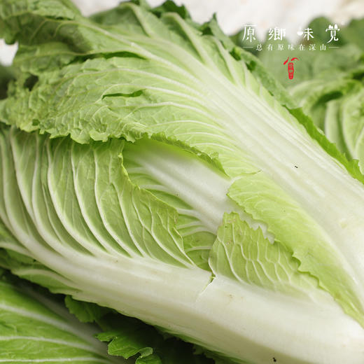 【预售7月5号/6号发货】生态高原紫花菜（农场直发-顺丰包邮）|紫花菜3.5—4斤装，来自四川小金，生产者：吴明清【合作生产，公平贸易 商品图11