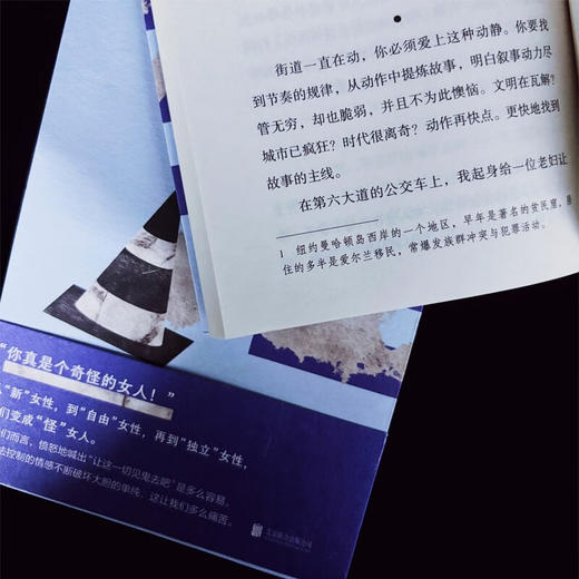 怪女人和一座城（美）薇薇安·戈尔尼克 著 商品图4