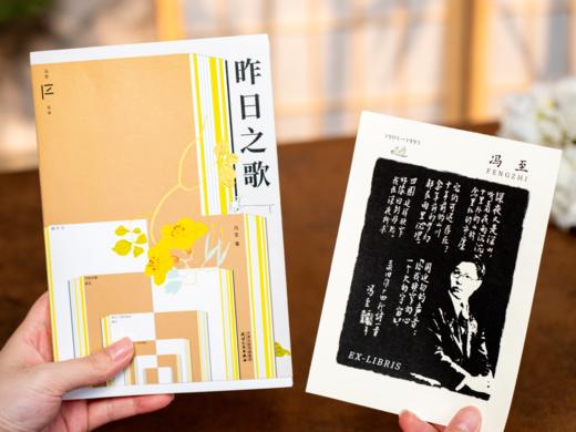 语文新课标严选 | 《冯至诗意成长六书》，鲁迅、何炅、朱自清都在读，诗意文笔、优美散文，深刻影响精神、思想、品格的人生之书！ 商品图4