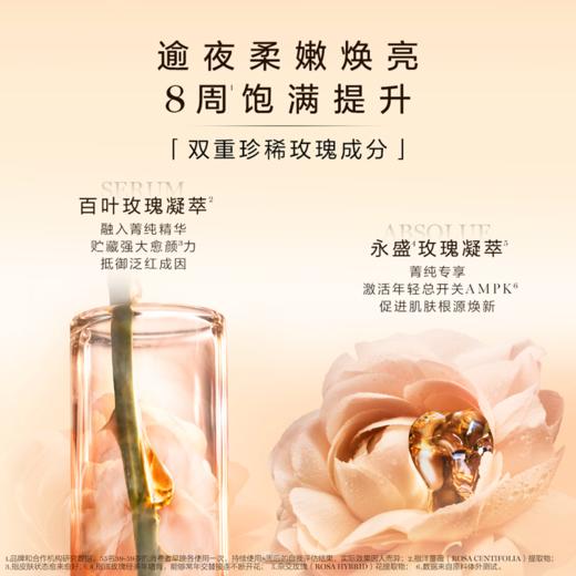 【保税】兰蔻（Lancome）菁纯新版四件套装(礼盒装）【旧版】 商品图7