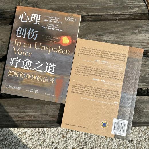 官网 心理创伤疗愈之道 倾听你身体的信号 彼得 莱文 创伤疗愈经典书系 心理创伤 疗愈 体感疗愈 心理治疗心灵疗愈心理学书籍 商品图2
