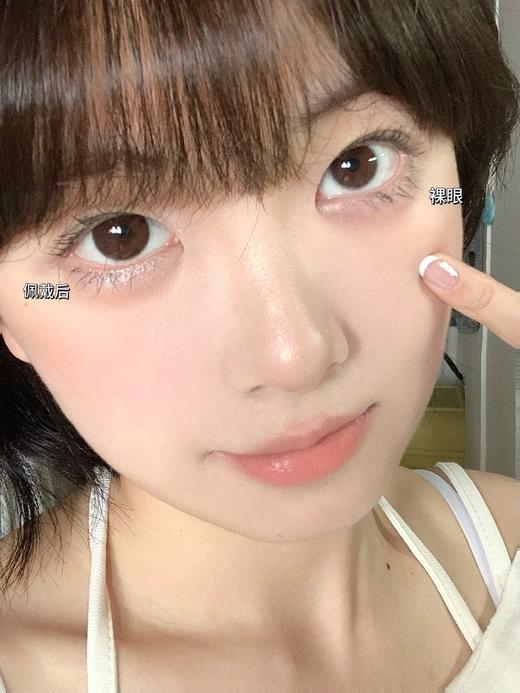 fullygift日抛 柔软臂弯 巧克力瞳 14.2mm 一盒十片 日抛无售后！！ 商品图3