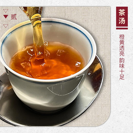 【山纯限品】2025年012遇林亭高枞水仙17g 商品图3