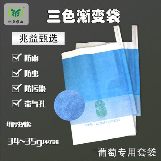 葡萄专用套袋 防虫、防病、防污染、带气孔 商品图0