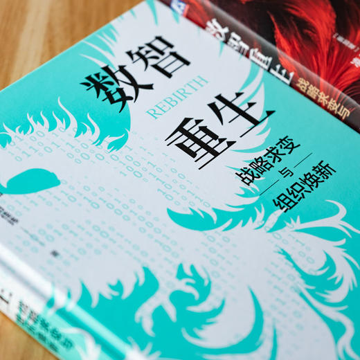 官网 数智重生 战略求变与组织焕新 陈威如 凌隽 田佳玮 数智化转型 战略重构 战略管理 企业经营管理书籍 商品图2