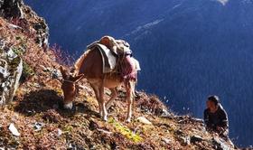 相关话题 | 山友AA重装失联后续：他念他翁没有奇迹…… 